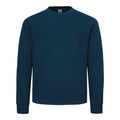 Mountain Blue - Front - Fruit of the Loom Unisex Adult Supercotton Sweatshirt