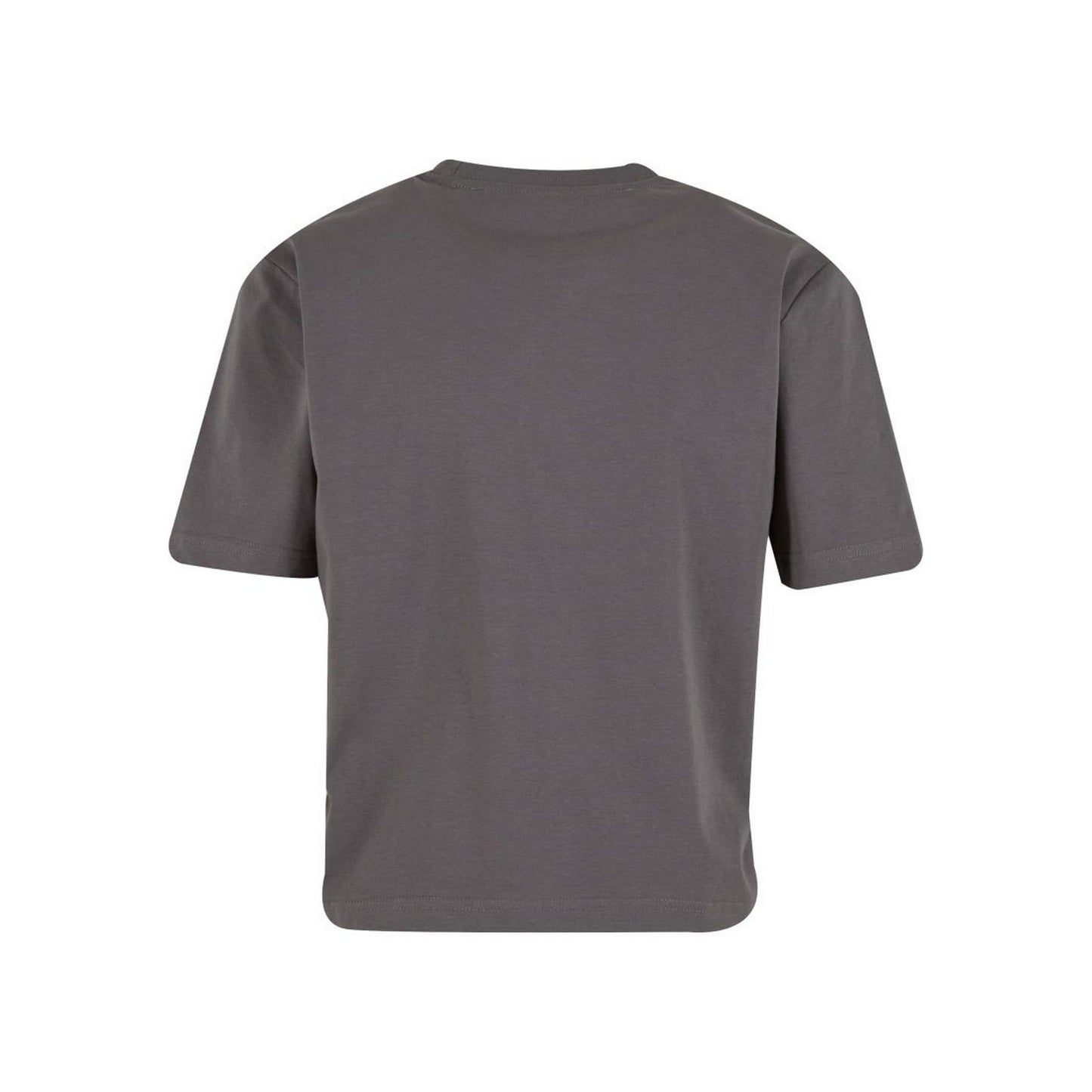 Pale Olive - Back - Build Your Brand Womens-Ladies Sorona T-Shirt