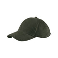 Forest Night - Back - Beechfield Unisex Adult Baseball Cap