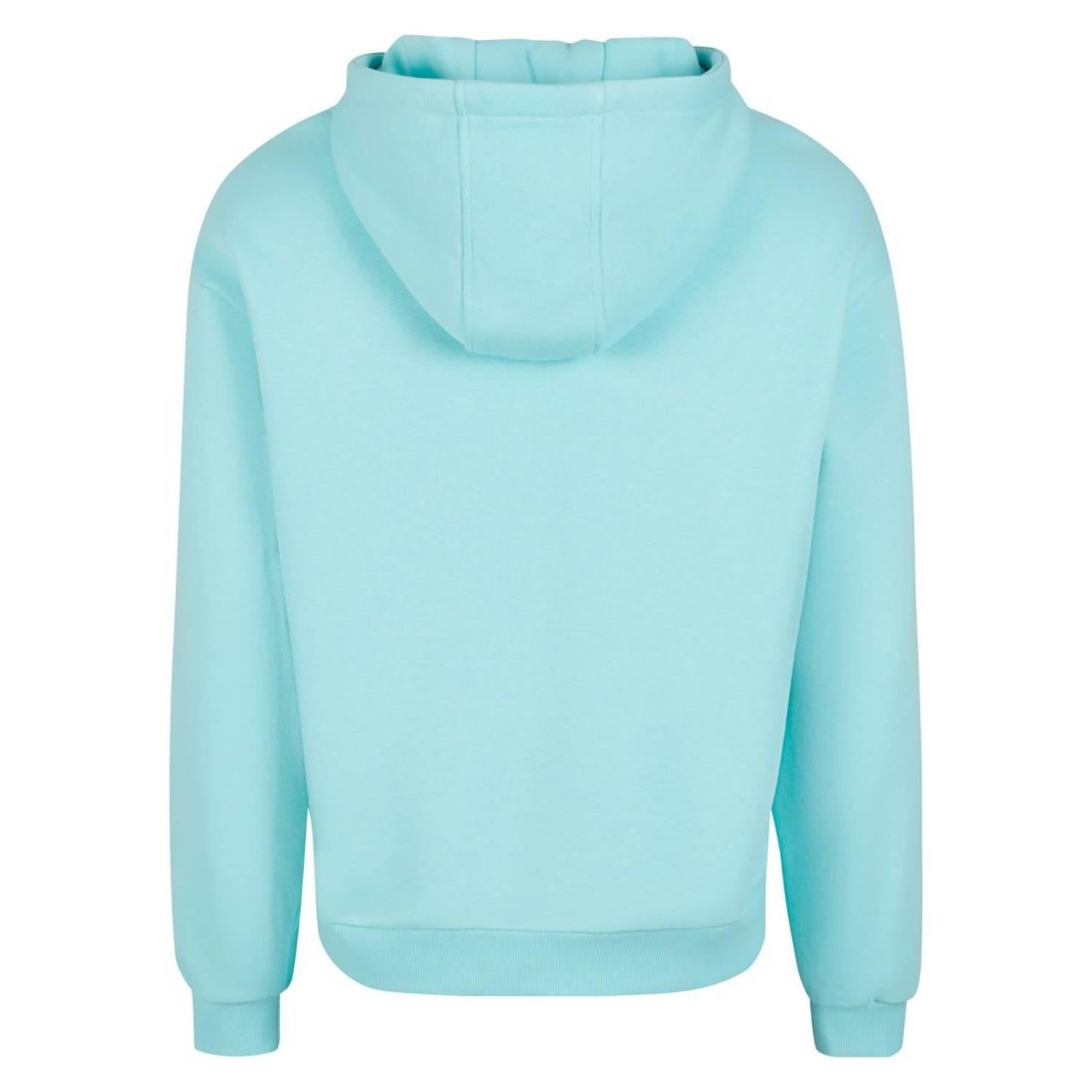 Beryl Blue - Back - Build Your Brand Unisex Adult Fluffy Pullover Hoodie