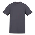 Solid Charcoal - Front - Awdis Unisex Adult 180 T-Shirt
