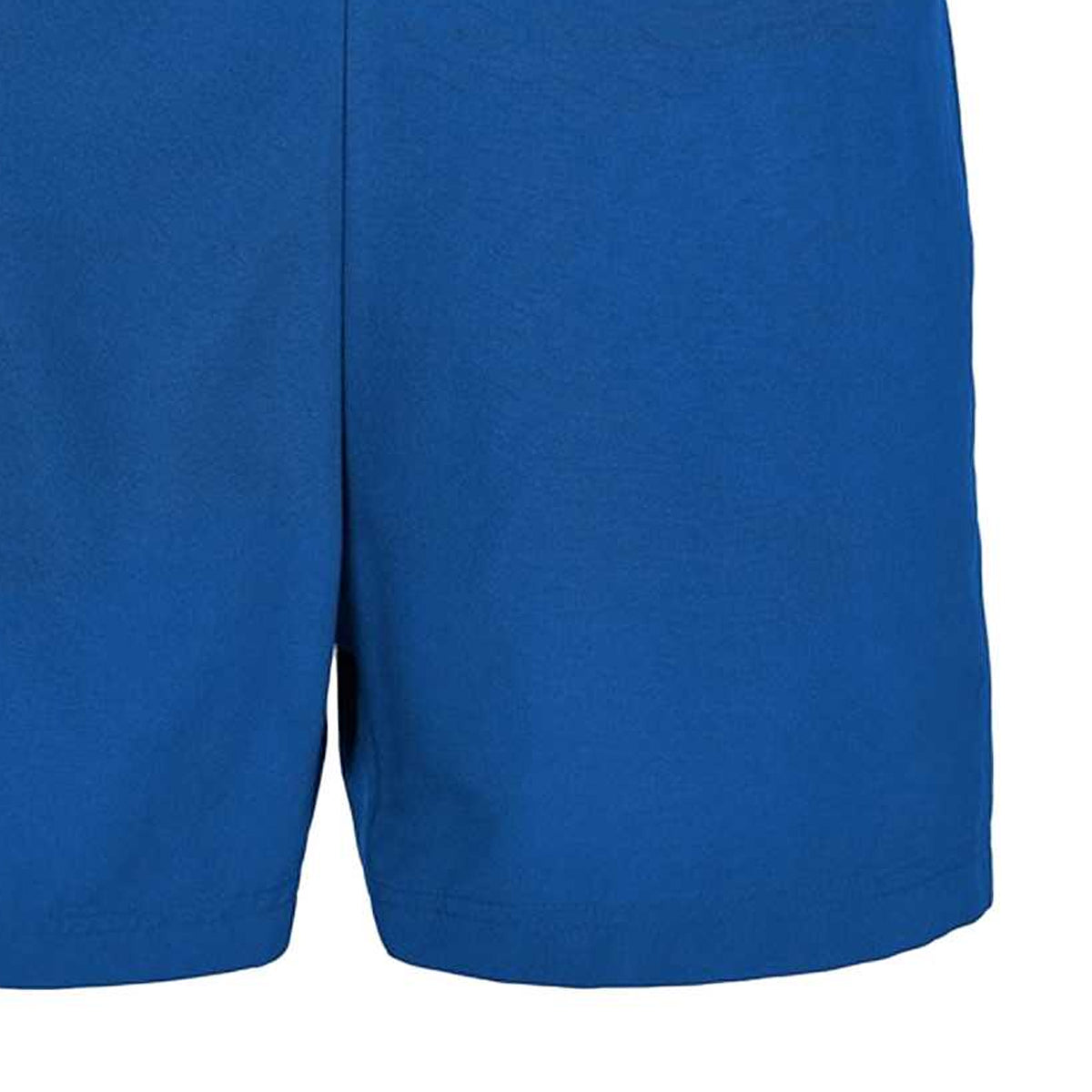 Cobalt Blue - Back - New Morning Studios Mens Basic Swim Shorts