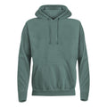 Light Green - Front - Comfort Colors Mens Plain Hoodie