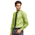 Lime - Back - Premier Mens Long Sleeve Formal Plain Work Poplin Shirt