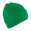 Kelly Green - Back - Beechfield Childrens-Kids Beanie