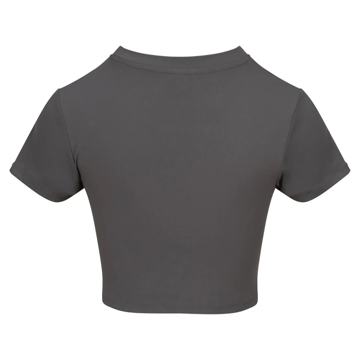 Platinum Grey - Back - Awdis Womens-Ladies Recycled Crop T-Shirt