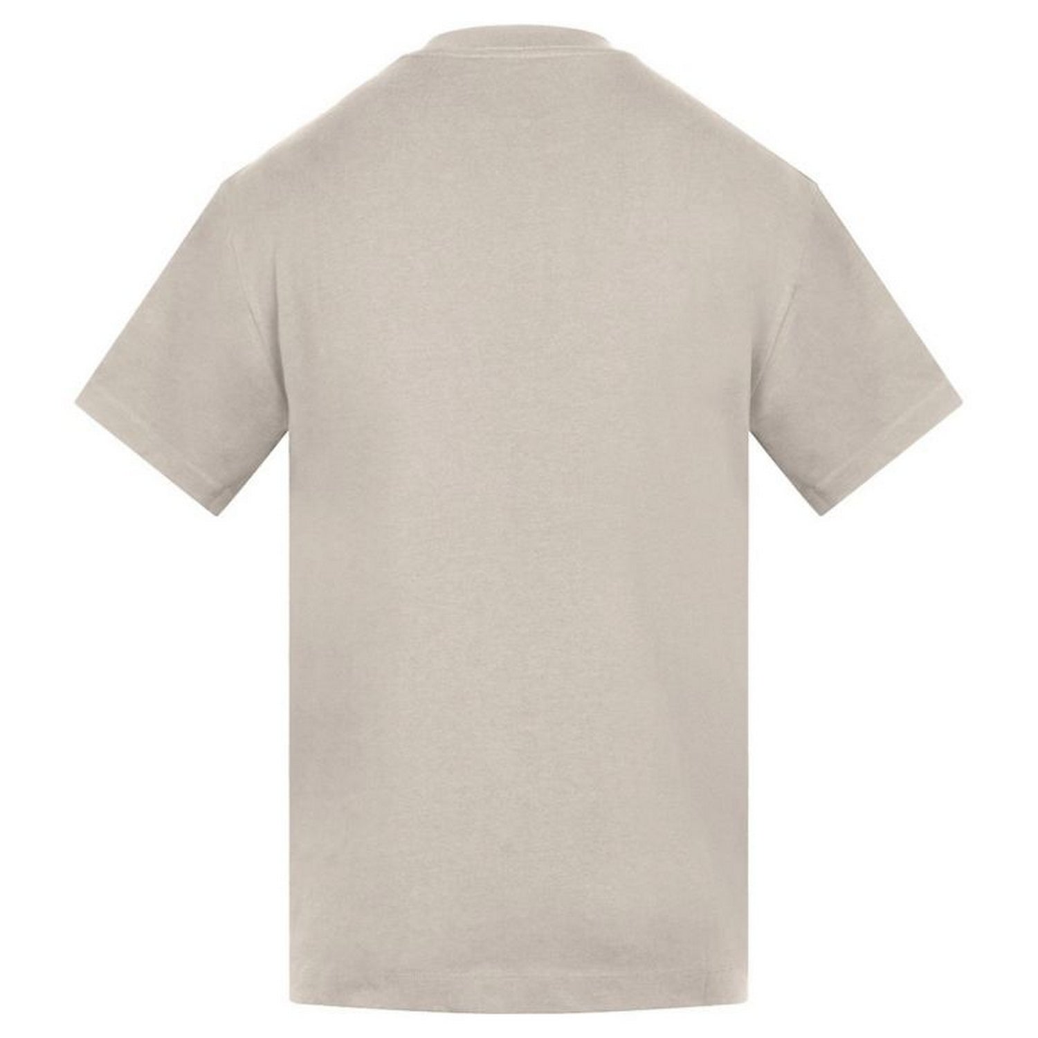 Stone - Back - Anthem Mens Amplify Heavyweight T-Shirt