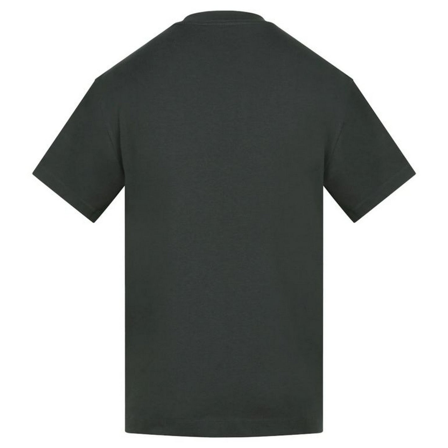 Carbon - Back - Anthem Mens Amplify Heavyweight T-Shirt