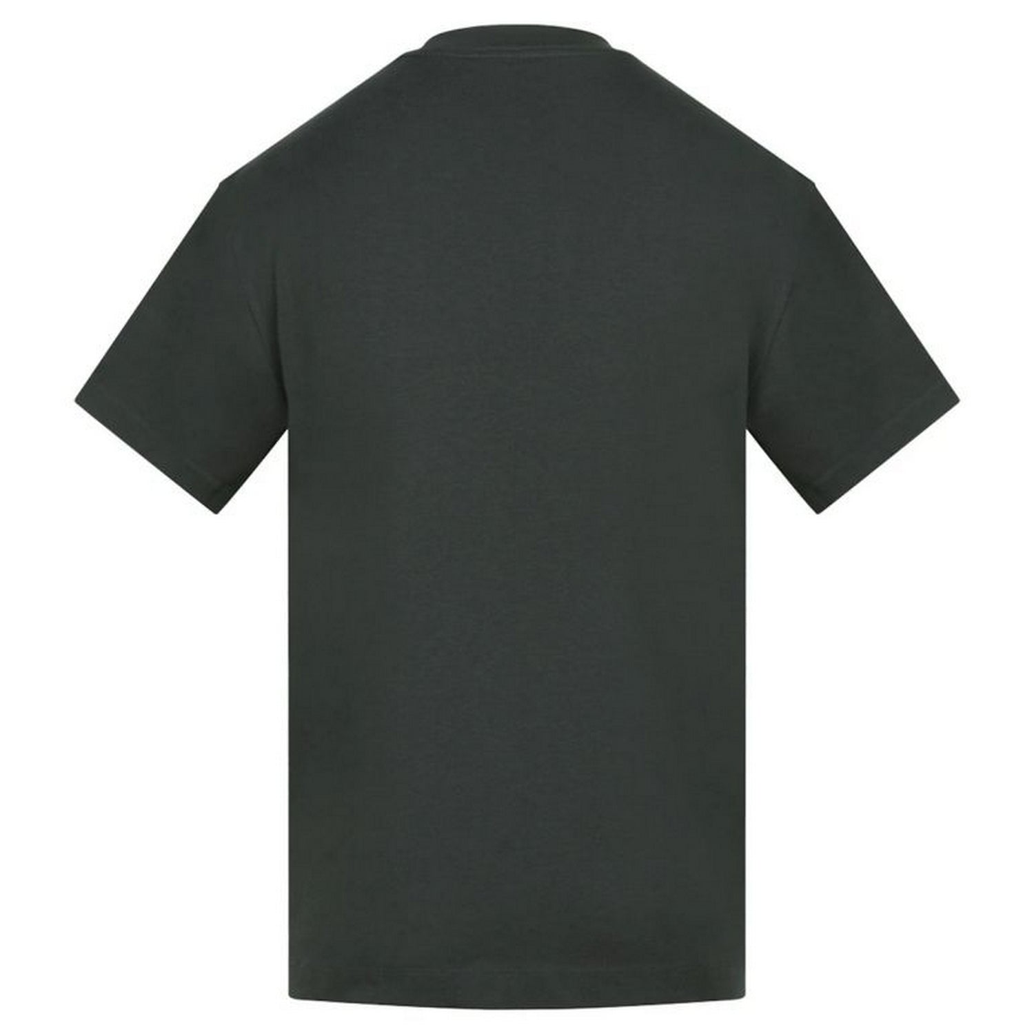 Carbon - Back - Anthem Mens Amplify Heavyweight T-Shirt