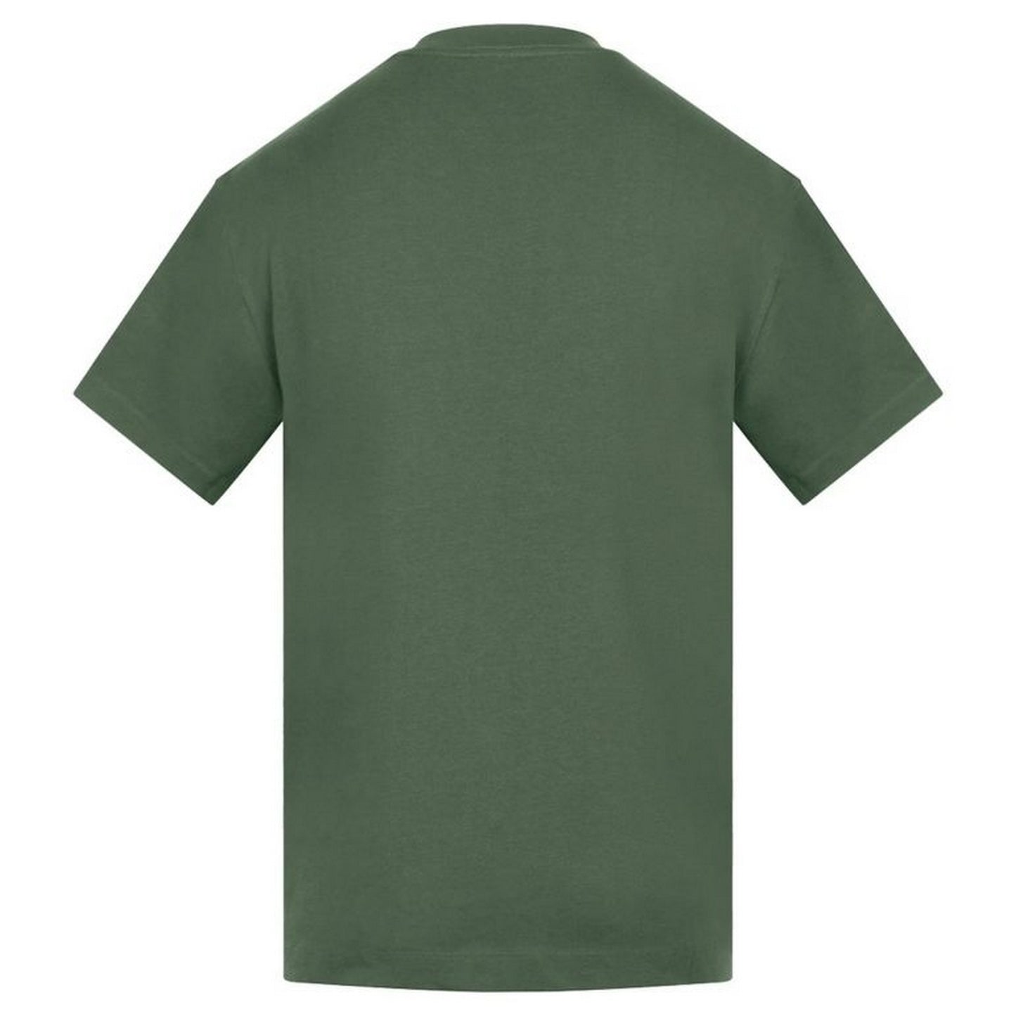 Mist Green - Back - Anthem Mens Amplify Heavyweight T-Shirt