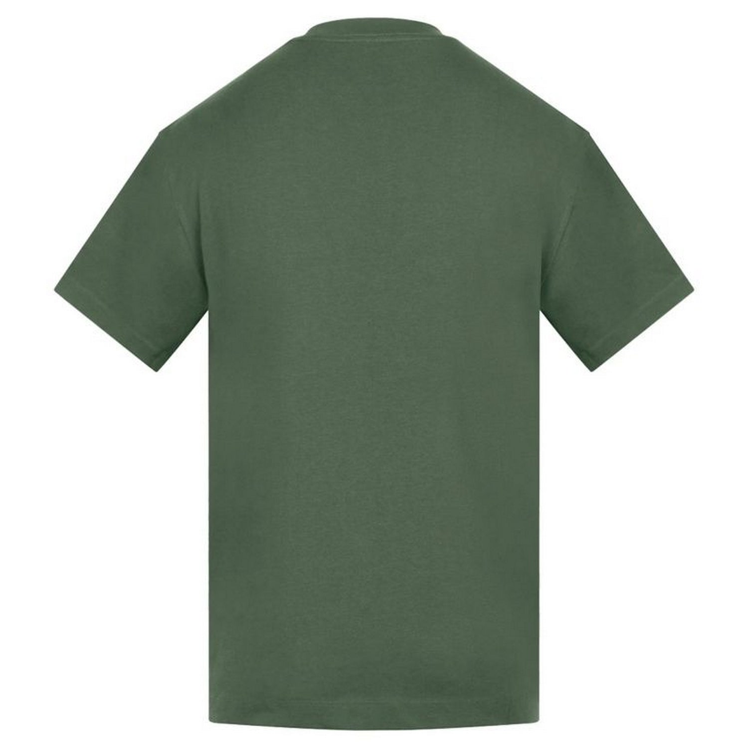 Mist Green - Back - Anthem Mens Amplify Heavyweight T-Shirt
