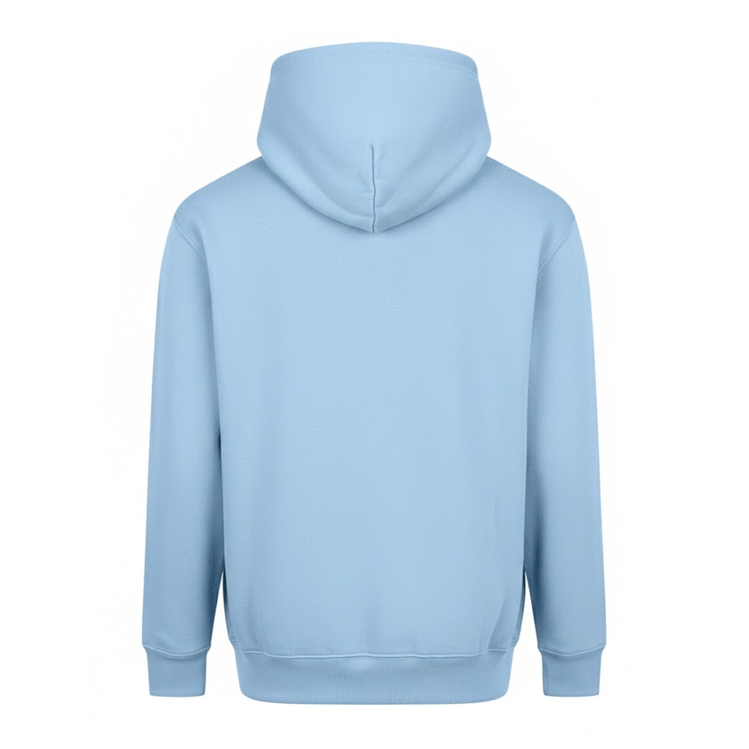 Ice Blue - Back - Awdis Mens Vision Heavyweight Hoodie
