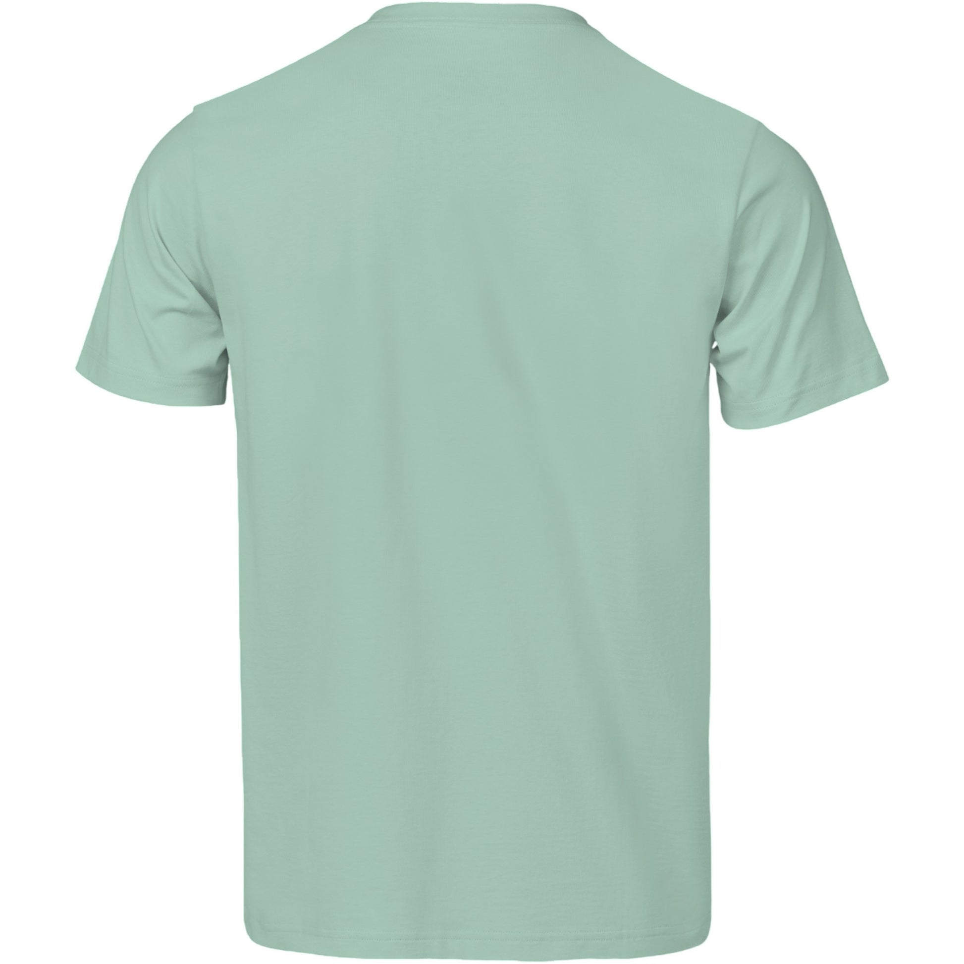 Mint - Back - Tee Jays Unisex Adult Unlabeled Luxury T-Shirt