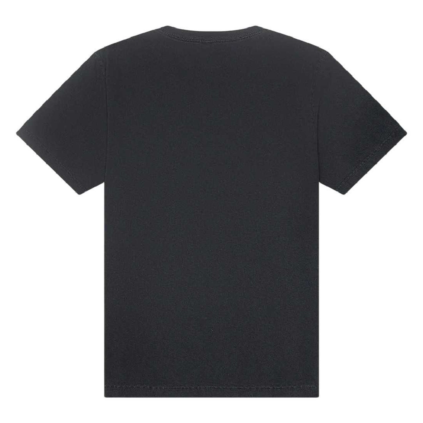 Washed Black - Back - Bella + Canvas Unisex Adult Heavyweight Washed T-Shirt