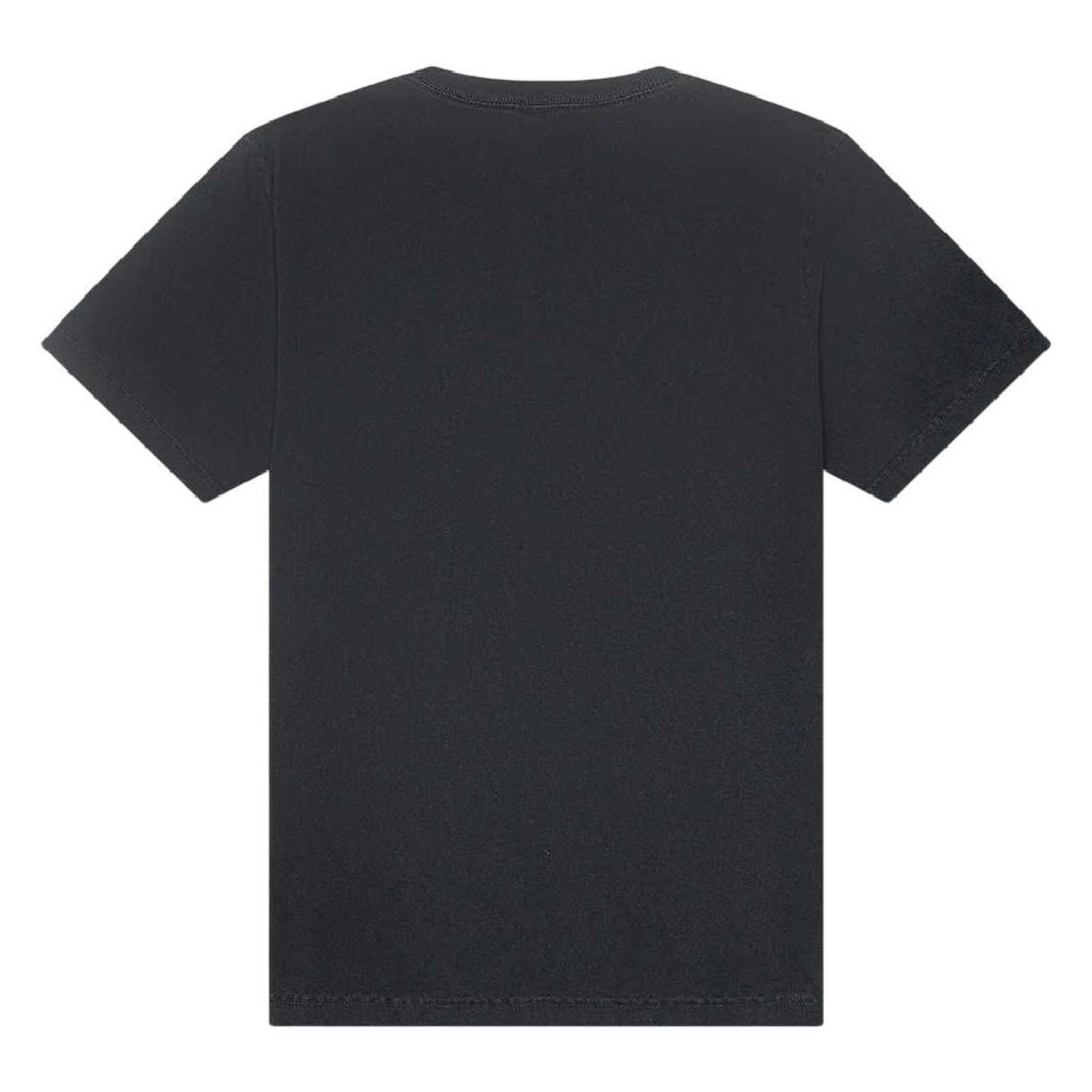 Washed Black - Back - Bella + Canvas Unisex Adult Heavyweight Washed T-Shirt