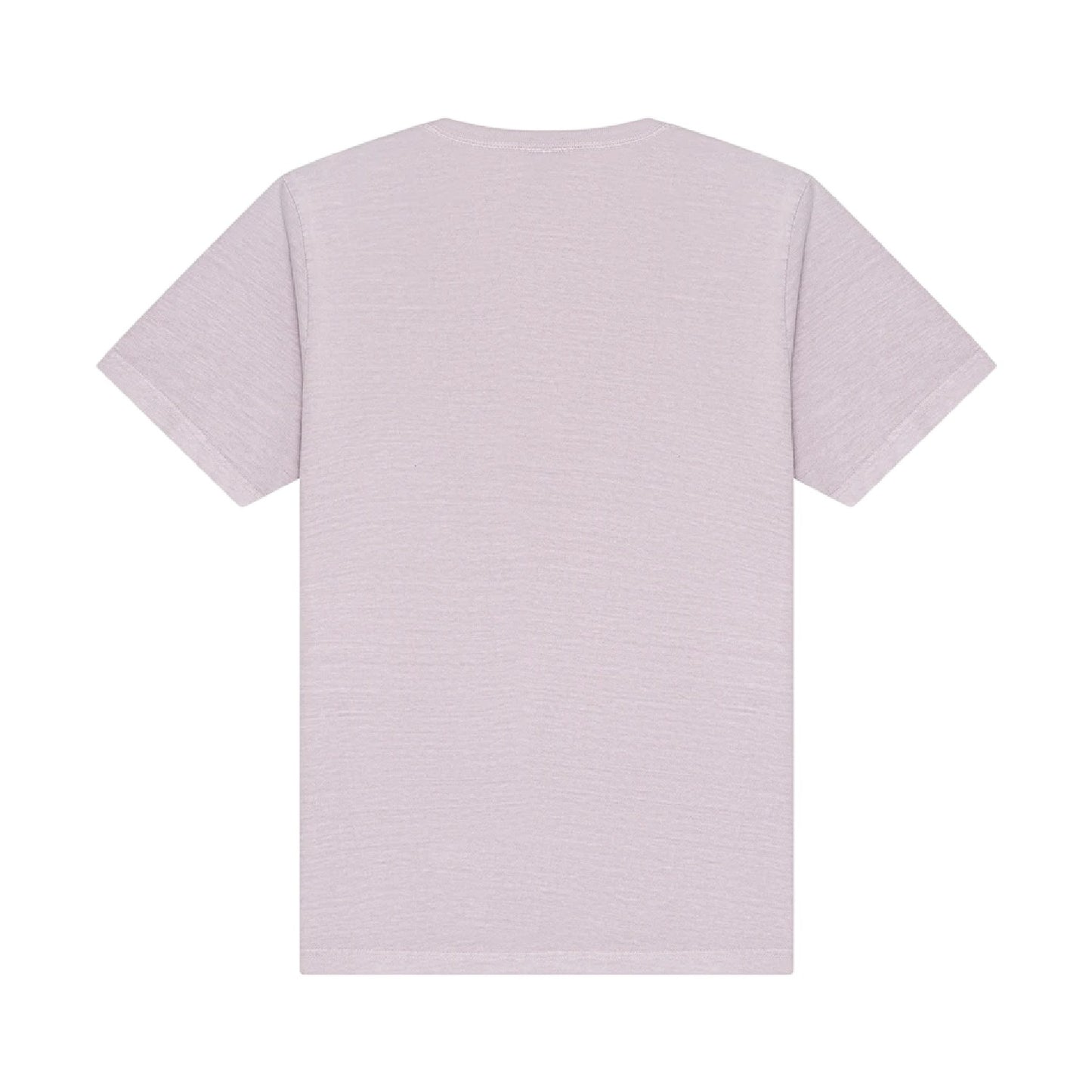 Washed Lavender - Back - Bella + Canvas Unisex Adult Heavyweight Washed T-Shirt