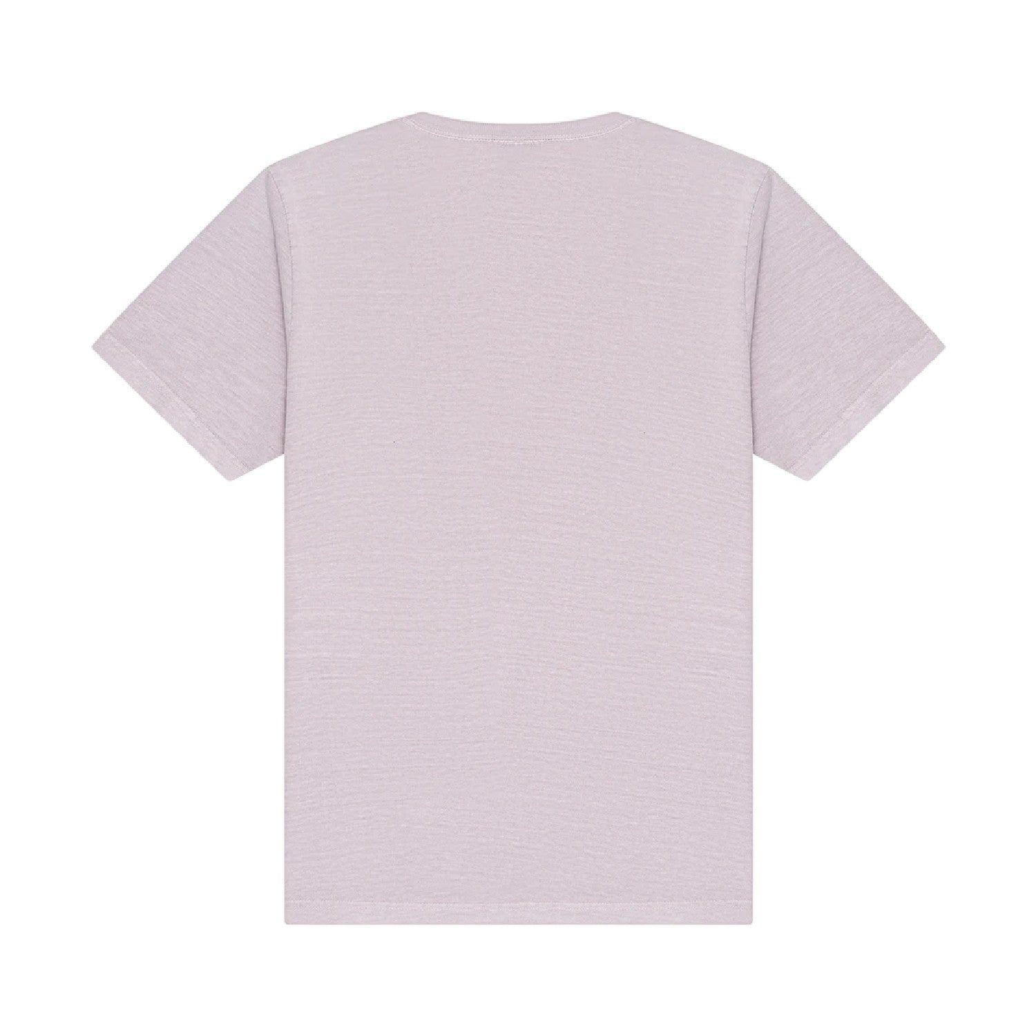 Washed Lavender - Back - Bella + Canvas Unisex Adult Heavyweight Washed T-Shirt