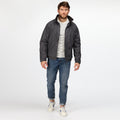 Seal Grey-Black - Pack Shot - Regatta Mens Dover Waterproof Windproof Jacket