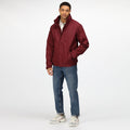 Burgundy- Burgundy - Pack Shot - Regatta Mens Dover Waterproof Windproof Jacket