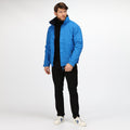 Oxford - Lifestyle - Regatta Mens Dover Waterproof Windproof Jacket