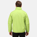 Key Lime-Seal - Back - Regatta Mens Dover Waterproof Windproof Jacket