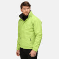 Key Lime-Seal - Lifestyle - Regatta Mens Dover Waterproof Windproof Jacket