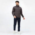 Seal Grey - Back - Regatta Mens Thor III Anti-Pill Fleece Jacket