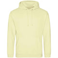 Pina Colada - Front - Awdis Unisex College Hooded Sweatshirt - Hoodie