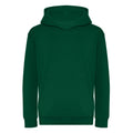 Rainforest Green - Front - Awdis Kids Unisex Hooded Sweatshirt - Hoodie - Schoolwear