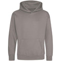 Platinum Grey - Front - Awdis Kids Unisex Hooded Sweatshirt - Hoodie - Schoolwear