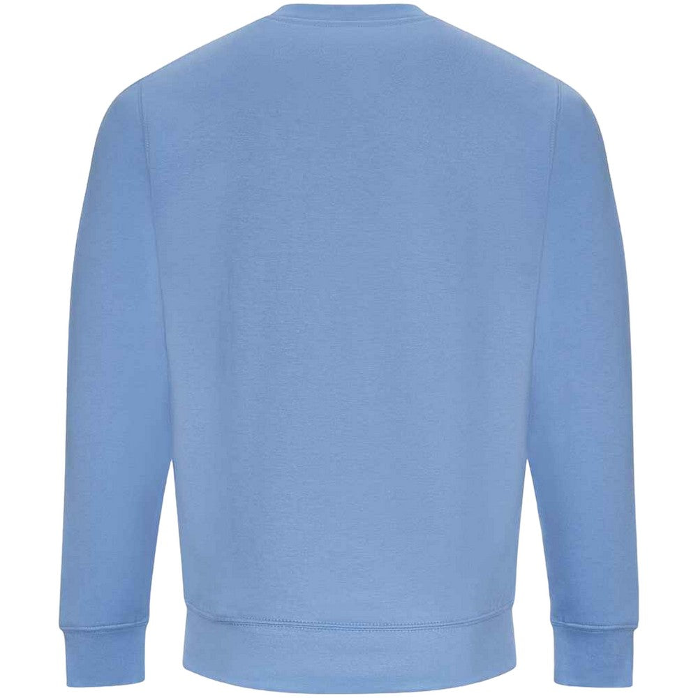 Cornflower Blue - Back - AWDis Just Hoods AWDis Unisex Crew Neck Plain Sweatshirt (280 GSM)