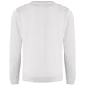 Artic White - Back - AWDis Just Hoods AWDis Unisex Crew Neck Plain Sweatshirt (280 GSM)