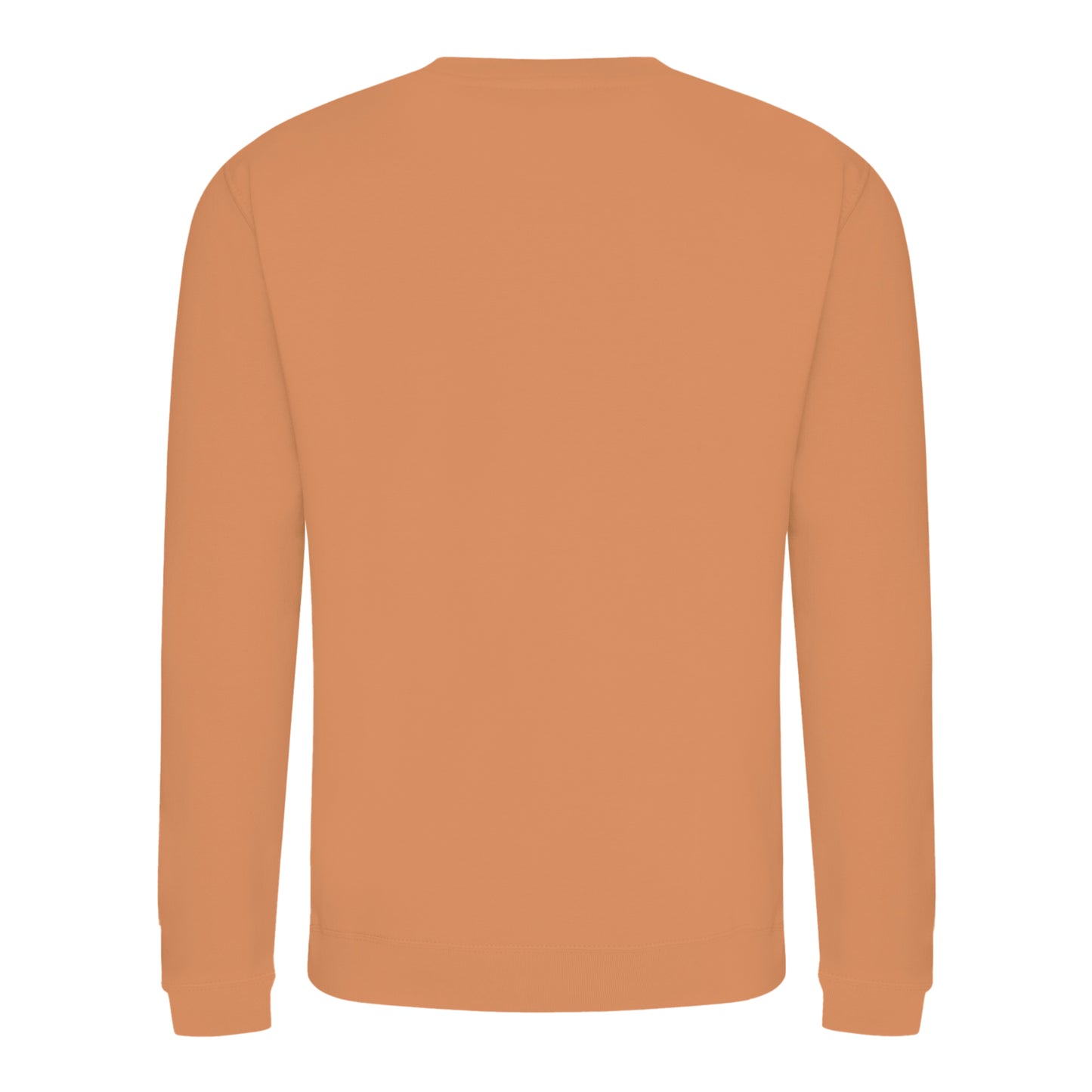 Caramel Latte - Back - AWDis Just Hoods AWDis Unisex Crew Neck Plain Sweatshirt (280 GSM)