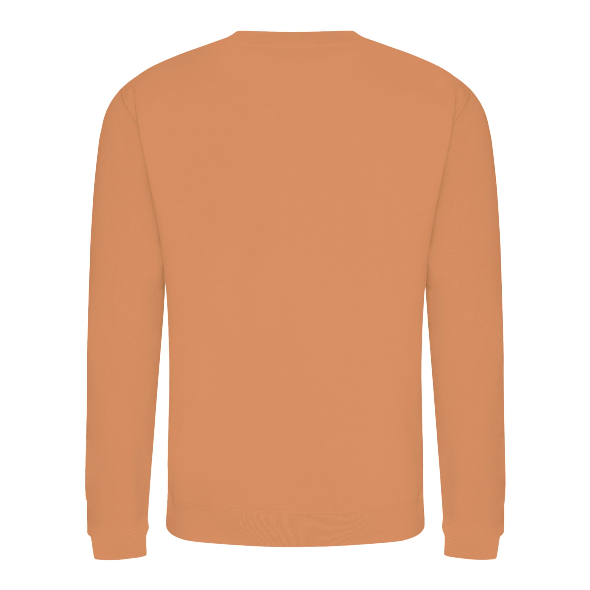 Caramel Latte - Back - AWDis Just Hoods AWDis Unisex Crew Neck Plain Sweatshirt (280 GSM)