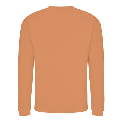 Caramel Latte - Back - AWDis Just Hoods AWDis Unisex Crew Neck Plain Sweatshirt (280 GSM)