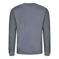 Steel Grey - Back - AWDis Just Hoods AWDis Unisex Crew Neck Plain Sweatshirt (280 GSM)