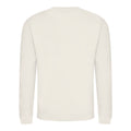 Vanilla - Back - AWDis Just Hoods AWDis Unisex Crew Neck Plain Sweatshirt (280 GSM)