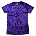 Spider Purple - Front - Colortone Childrens Unisex Tonal Spider Short Sleeve T-Shirt
