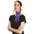 Purple - Back - Premier Ladies-Womens Work Chiffon Formal Scarf