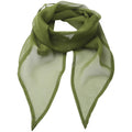 Oasis Green - Front - Premier Ladies-Womens Work Chiffon Formal Scarf