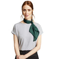 Bottle - Back - Premier Ladies-Womens Work Chiffon Formal Scarf