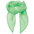 Apple - Front - Premier Ladies-Womens Work Chiffon Formal Scarf