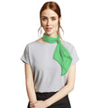 Apple - Back - Premier Ladies-Womens Work Chiffon Formal Scarf