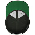 Spruce - Back - Yupoong Mens The Classic Premium Snapback Cap