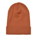 Toffee - Front - Yupoong Flexfit Unisex Heavyweight Long Beanie Winter Hat