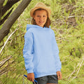 Sky Blue - Back - Fruit Of The Loom Kids Unisex Premium 70-30 Hooded Sweatshirt - Hoodie