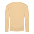 Desert Sand - Front - AWDis Just Hoods Childrens-Kids Plain Crew Neck Sweatshirt