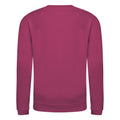 Hot Pink - Back - AWDis Just Hoods Childrens-Kids Plain Crew Neck Sweatshirt