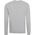 Grey - Back - AWDis Academy Mens Crew Neck Raglan Sweatshirt