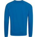 Sapphire - Back - AWDis Academy Mens Crew Neck Raglan Sweatshirt